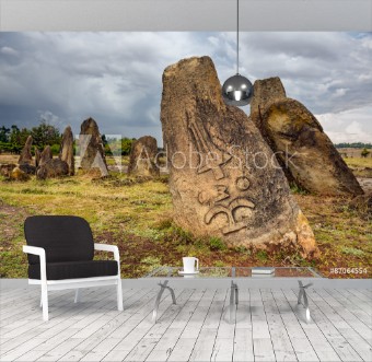 Picture of Megalithic Tiya stone pillars Addis Ababa Ethiopia